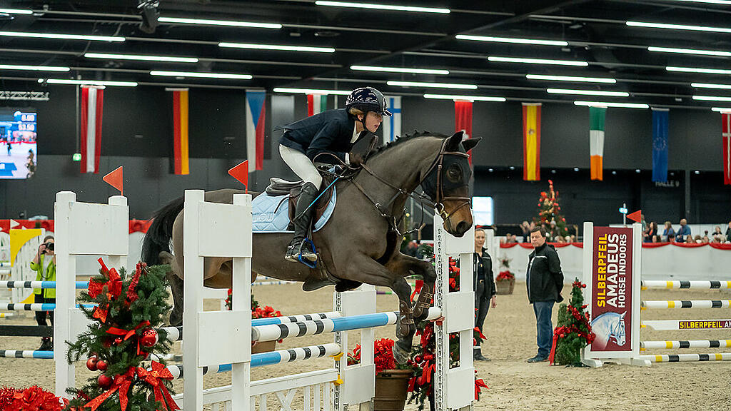 Amadeus Horse Indoors 2023