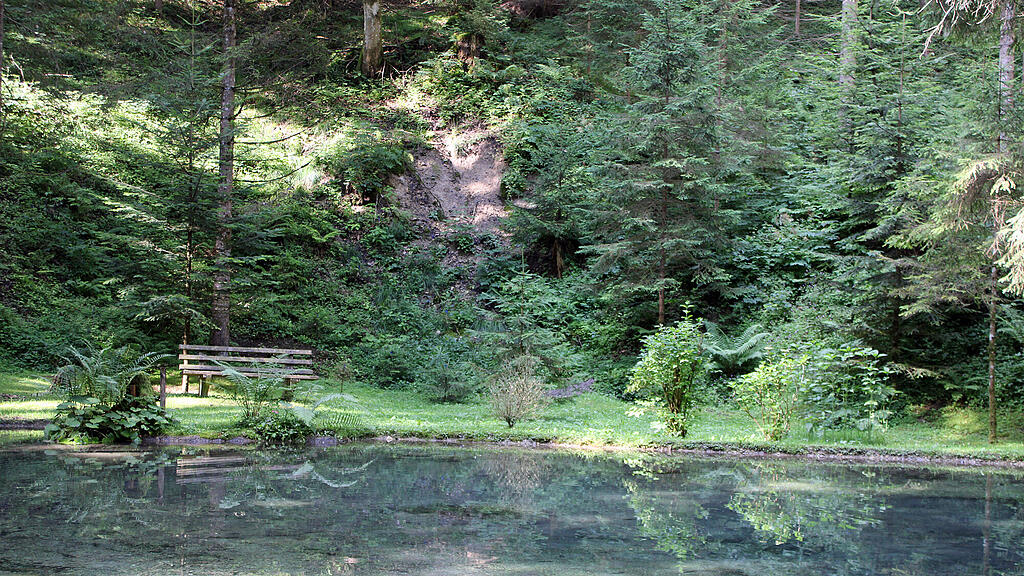 Hubert Stock im Wald