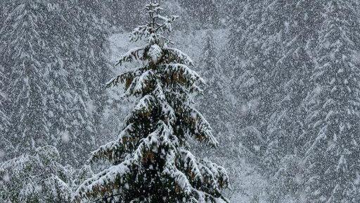 Schnee in Bad Gastein