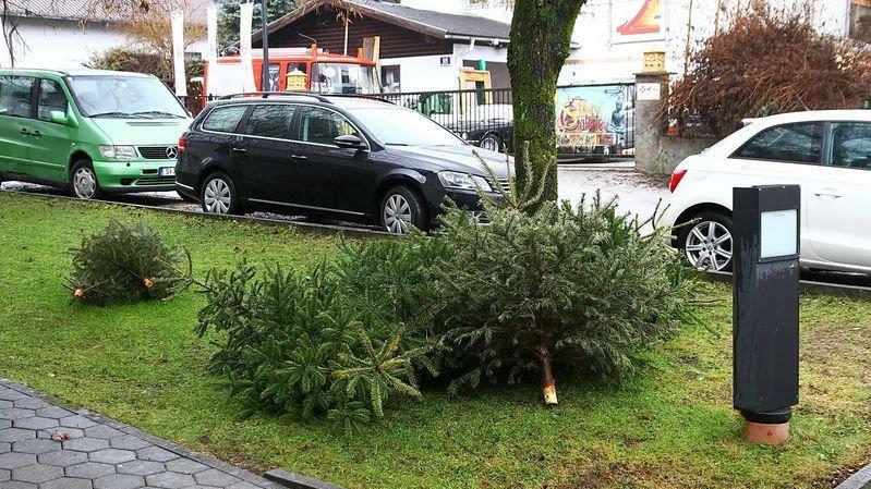 Christbaum-Entsorgung