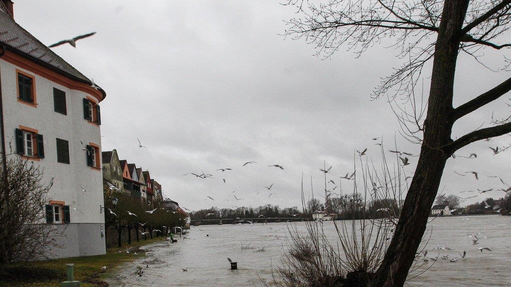 Hochwasser in Schärding