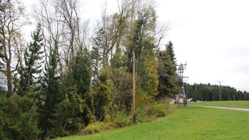 Einsätze in Thalgau