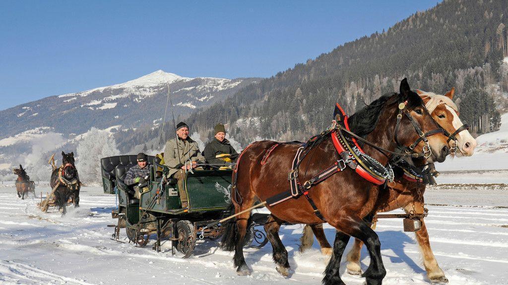 Historische Pferdegespanne im Lungau