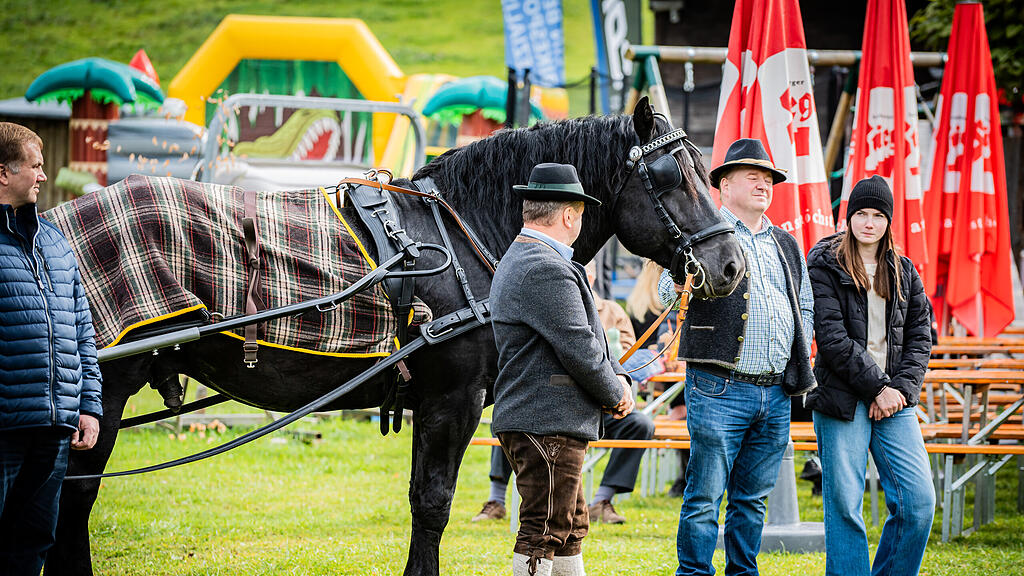 Leonhardiritt Faistenau