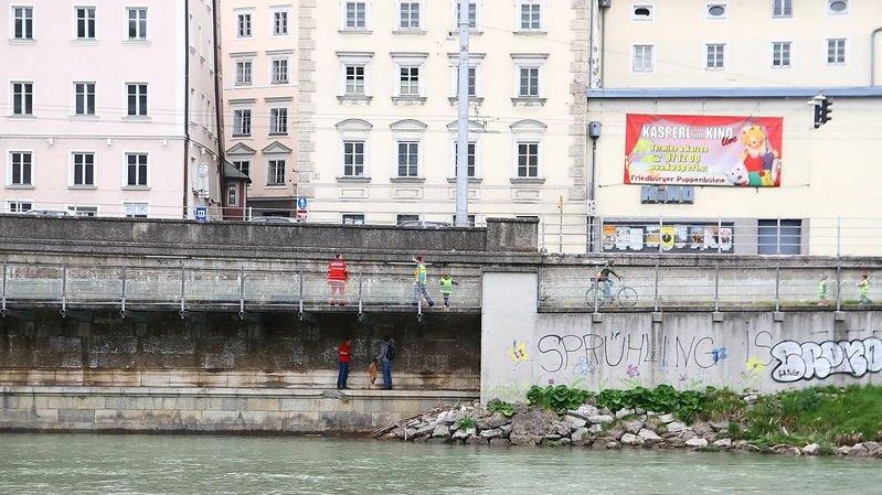 Reinigung der Salzachufer