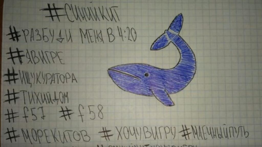Die sogenannte "Blue Whale Challenge" soll ihren Ursprung in Russland haben.