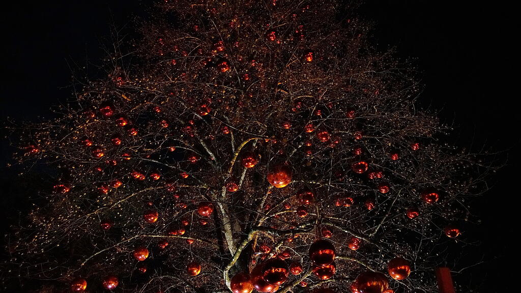 Adventzauber Hellbrunn