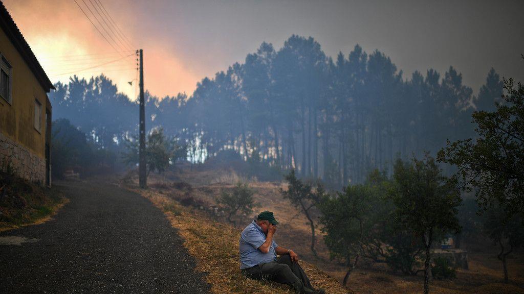 Schwere Waldbrände in Portugal
