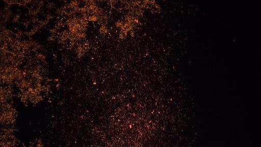 Burning Animal II