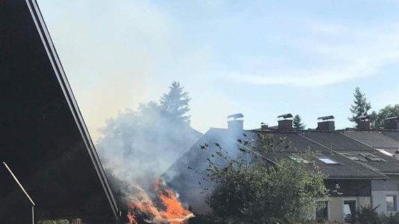 Heckenbrand in Henndorf