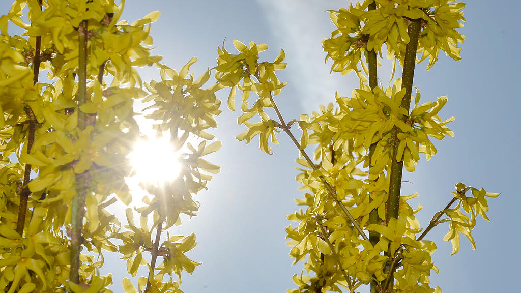 20140318_PD0867.HR.jpg