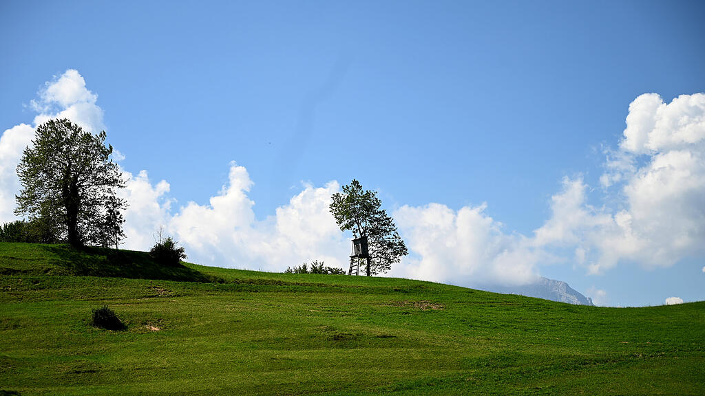 20200811_PD2169.HR.jpg