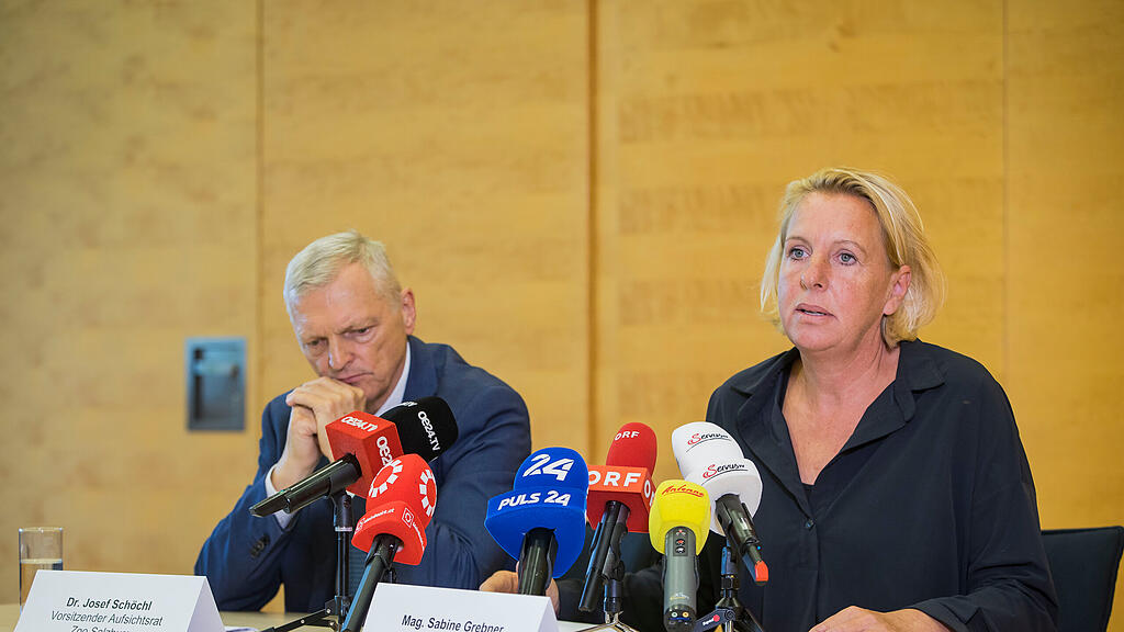 Nashorn t\u00f6tet Pflegerin im Zoo: Pressekonferenz