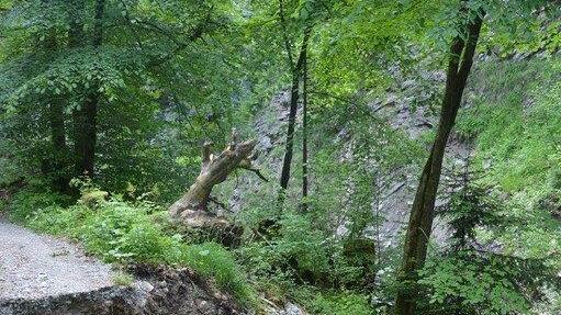Hochwasser-Schäden in der Glasenbachklamm