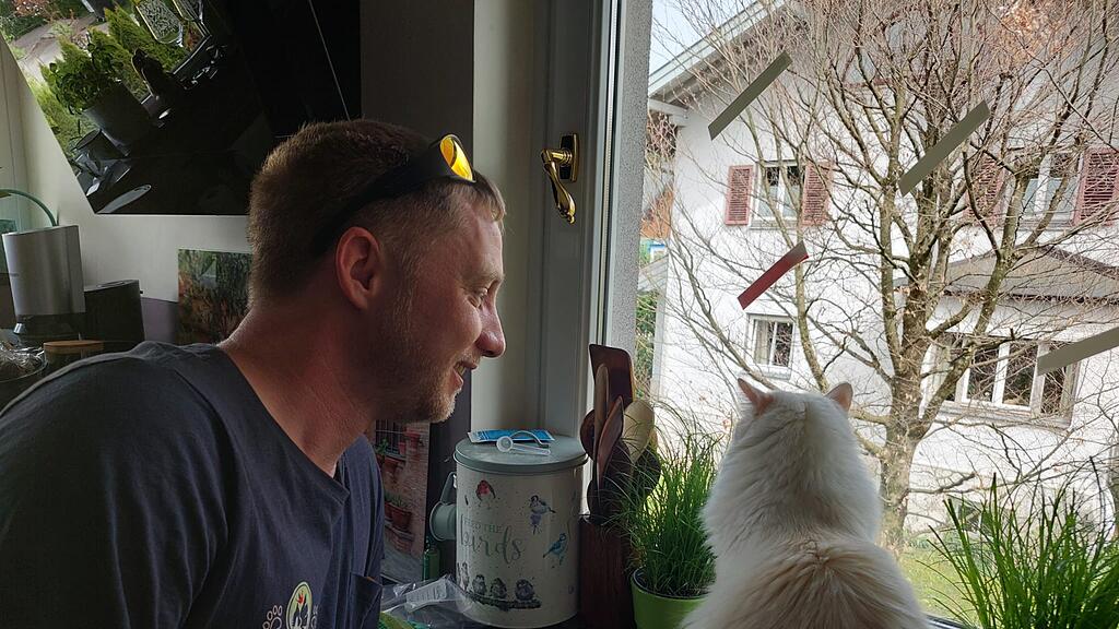 pet patrol