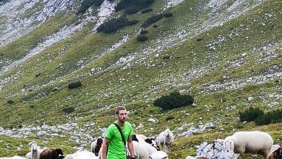 Verletztes Schaf aus Tennengebirge gerettet