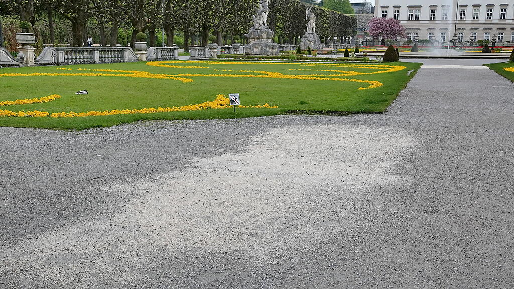 Mirabellgarten Sanierung