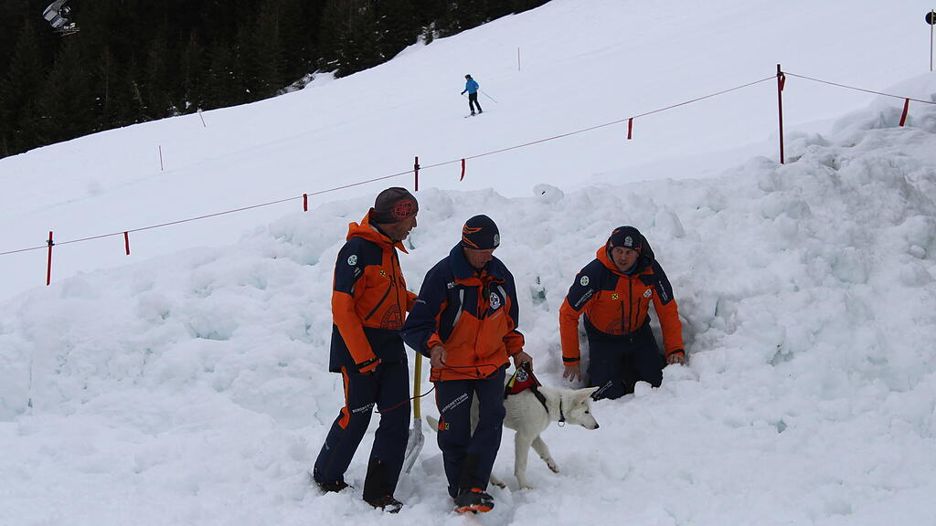 Lawinenhunde Bergrettung Training