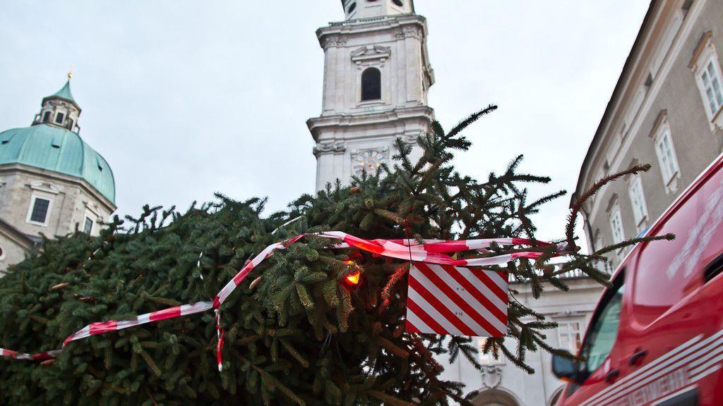 Christbaum ist angekommen