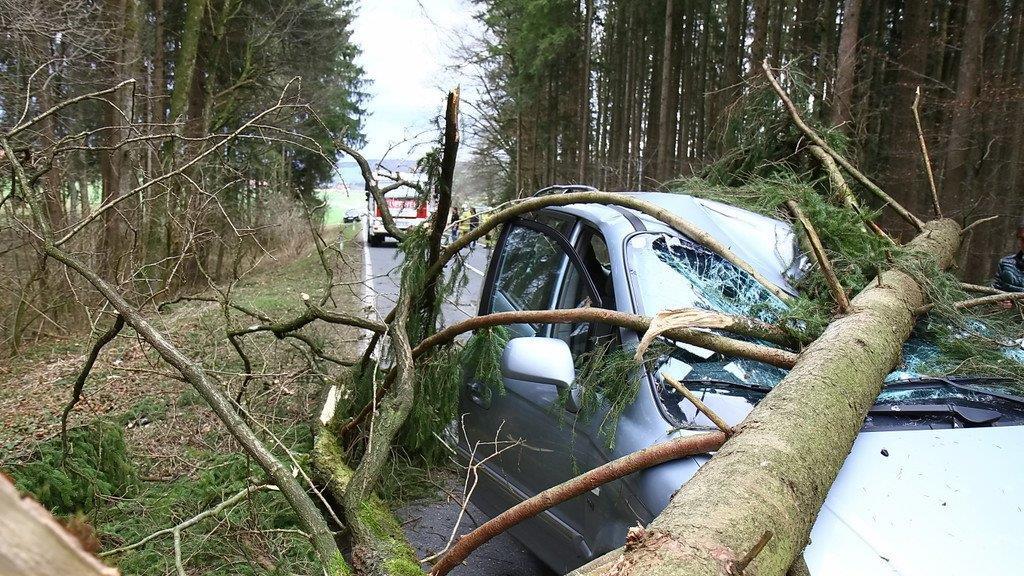 Niklas: Baum an L207 stürzt auf Pkw