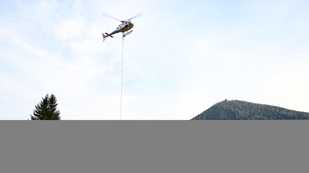 Waldbrand Rax-Gebiet