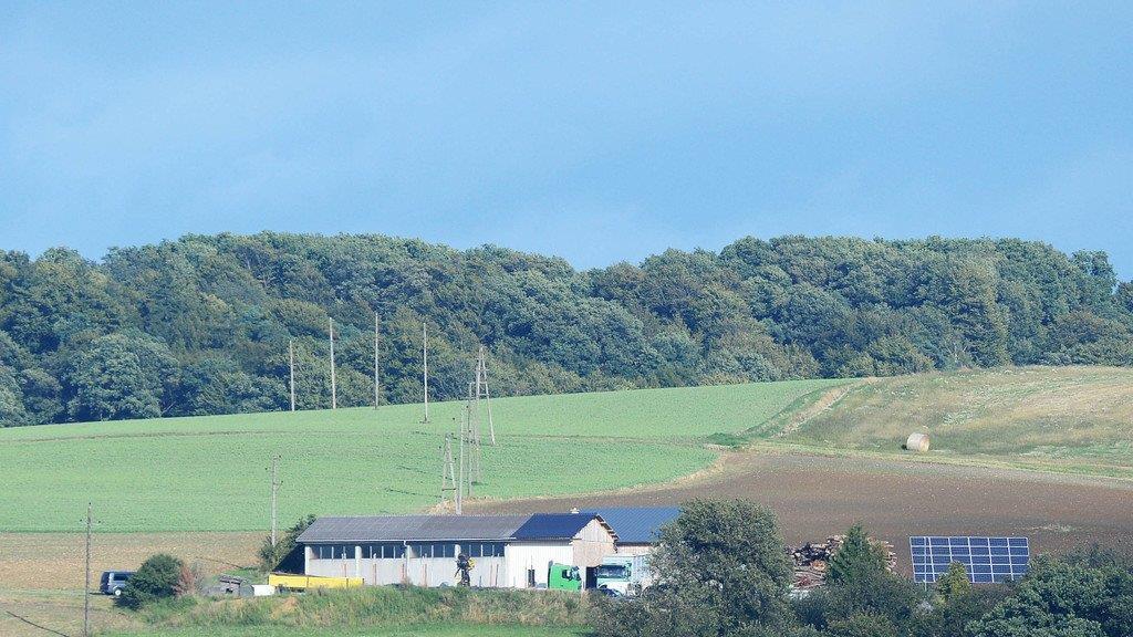 Vier Tote nach Amoklauf in NÖ