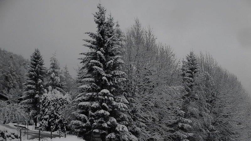 Winter in Ebenau