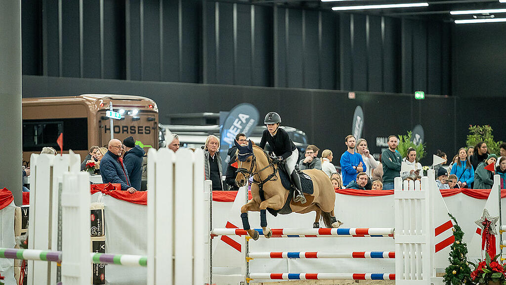 Amadeus Horse Indoors 2023