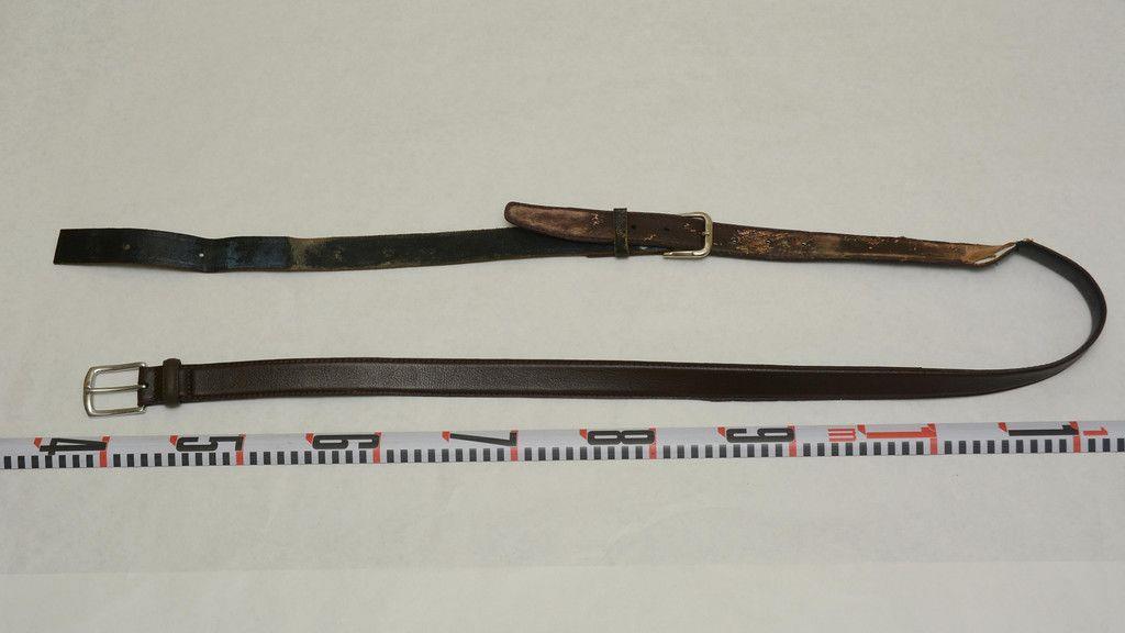 Leichenteile in Koffern am Traunsee entdeckt