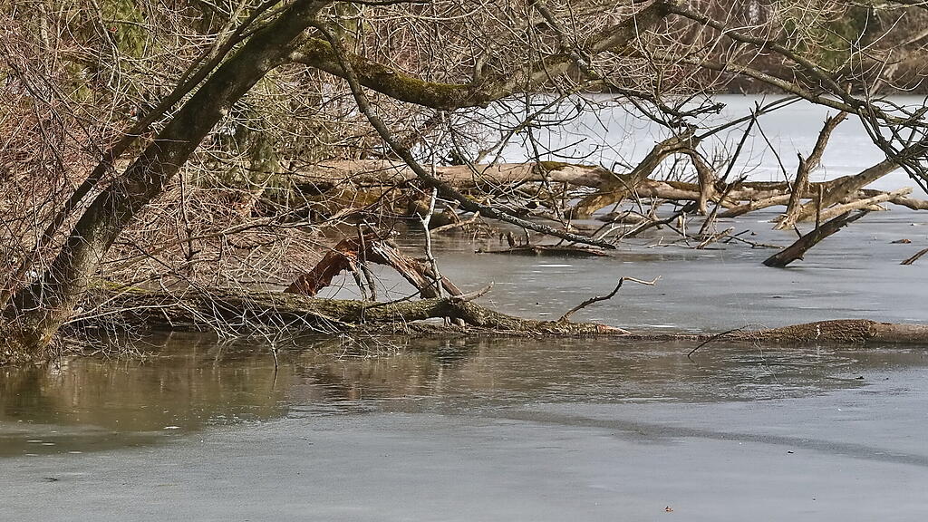 Leopoldskroner Weiher