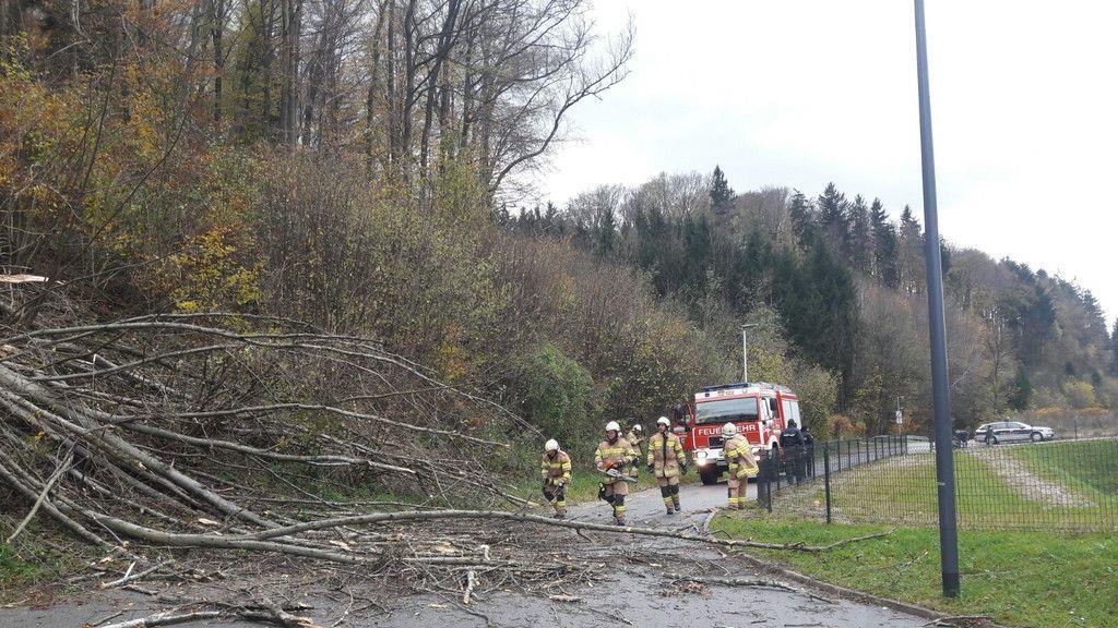 Einsätze in Hallwang