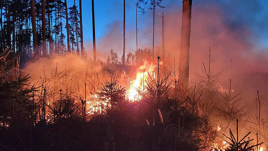Feuerwehreinsatz am vergangenen Wochenende in Niederösterreich