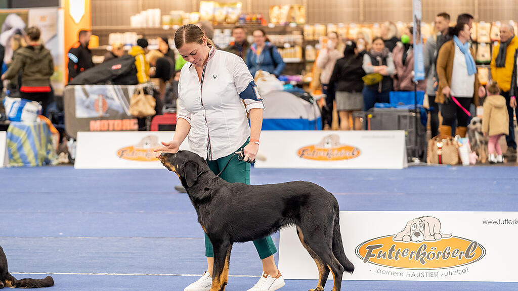 Internationale Hundeausstellung Salzburg 2022