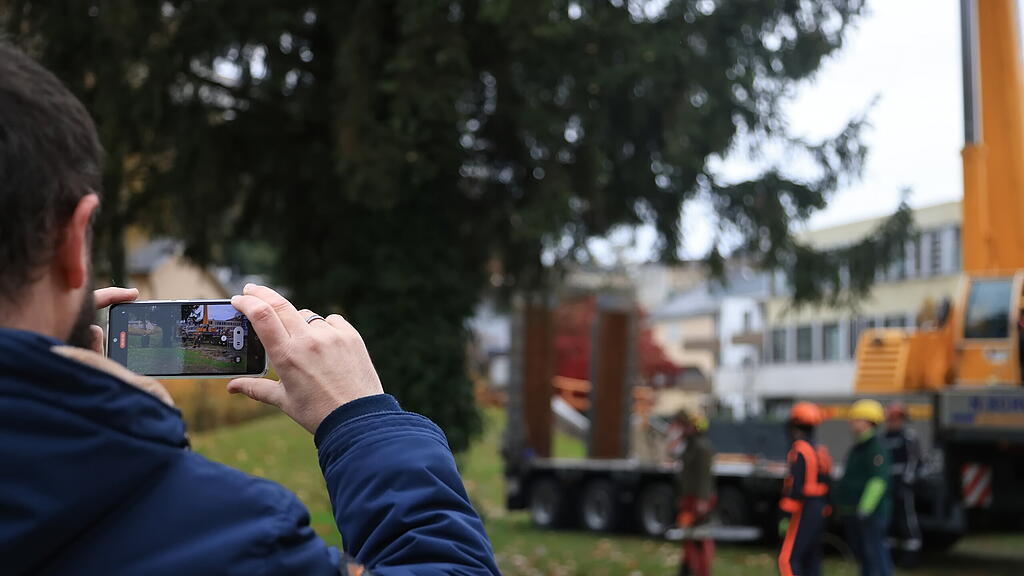 Baumernte, Salzburger Christkindlmarkt