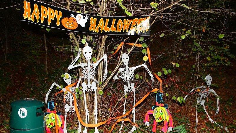 Halloween im Zoo