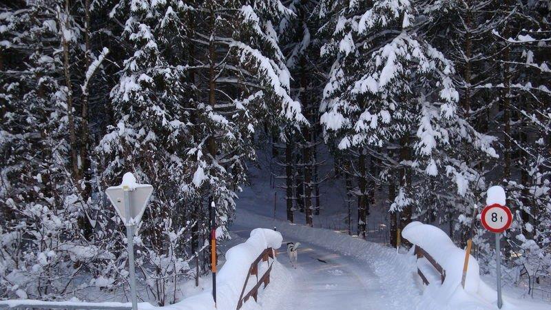 Winteridylle in Ebenau