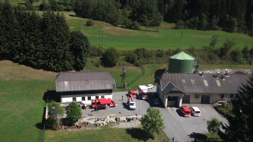 Bilder der Suche