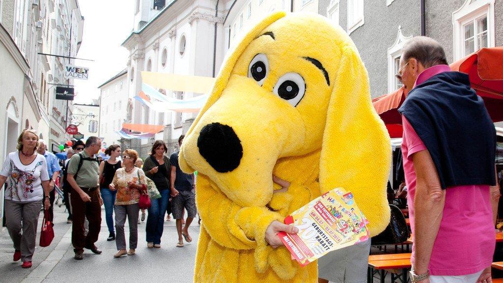 35. Altstadtfest Linzer Gasse