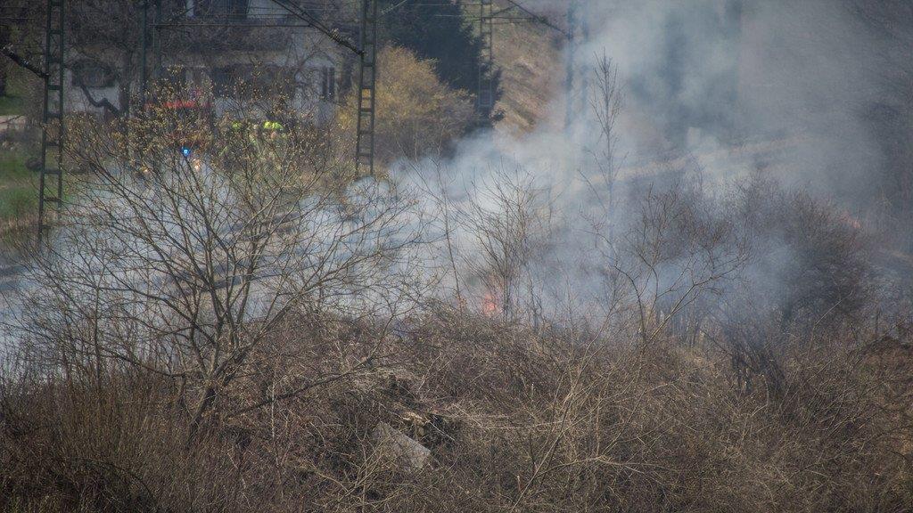 Buschbrände entlang der Zuggleise in Bayern