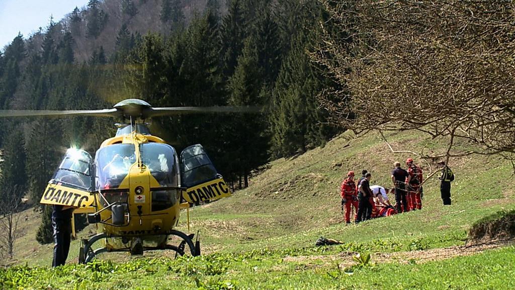 Drachenflieger schwer verletzt