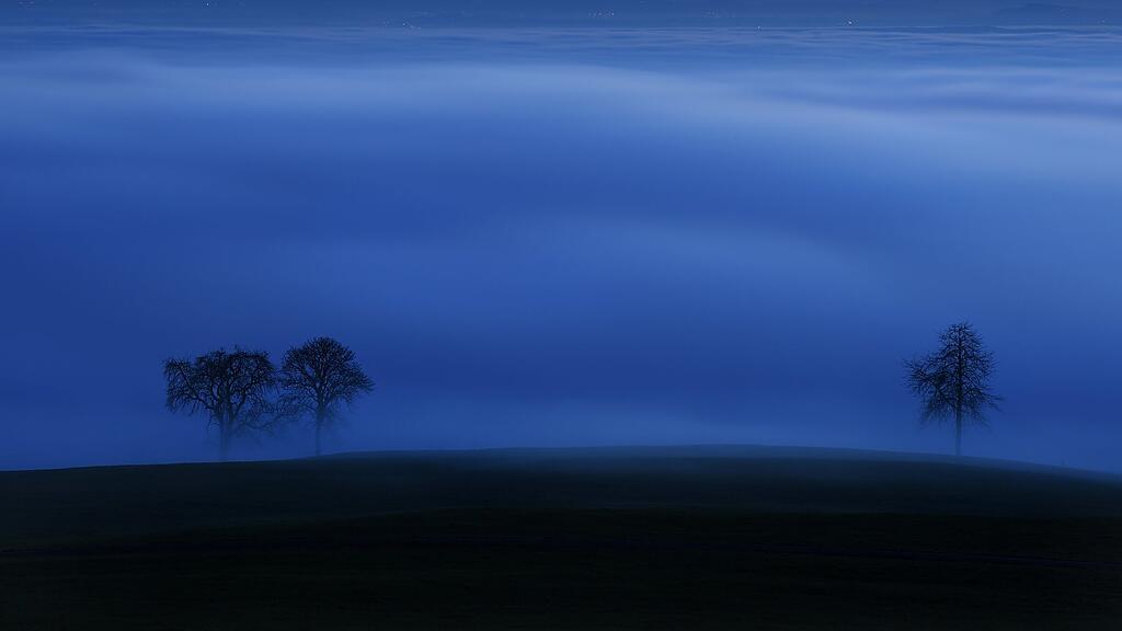 Inversionswetterlage, Nebel