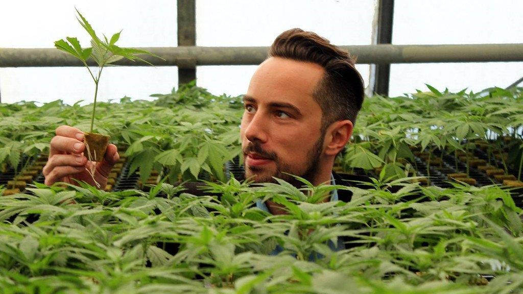 Cannabis-Projekt "Hanfgarten" knackt Crowdfunding-Rekord