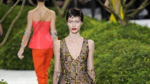 Pariser FashiON Week haute Couture 2013 S/S