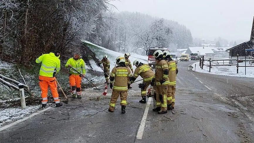 Umgestürzter Baum auf Plainfelder Straße in Thalgau