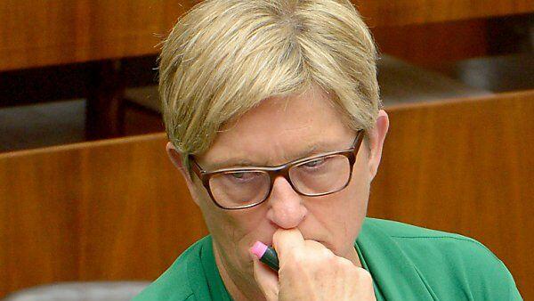 Haubner will Orientierung an Privatwirtschaft