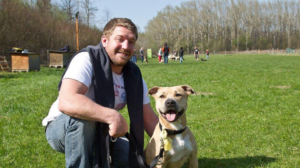 "Der gelbe Hund" in Nußdorf