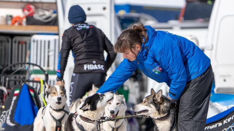 Schlittenhunde-WM in Sportgastein, Samstag