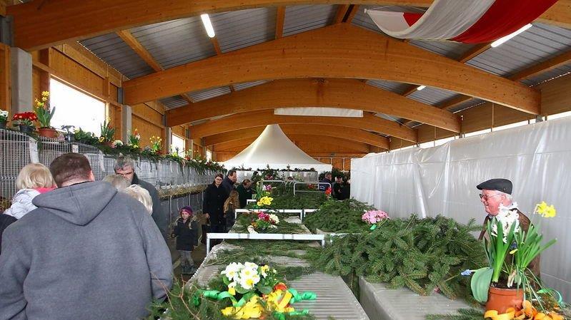 Bilder der Ausstellung