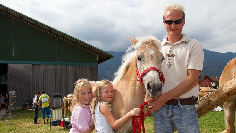 10. Haflinger Landesfohlenschau