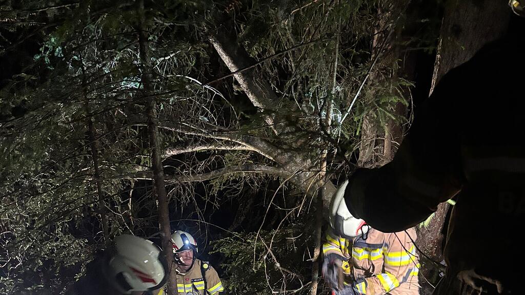Waldbrand Graukogel Bad Gastein